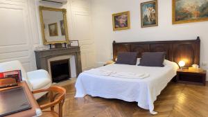 瓦朗斯Chambre de charme au coeur du vieux Valence - Confort & Calme的一间卧室设有一张大床和一个壁炉