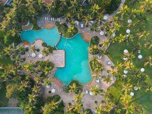比纳里姆果阿泰姬陵酒店&度假村的棕榈树度假村泳池的空中景致