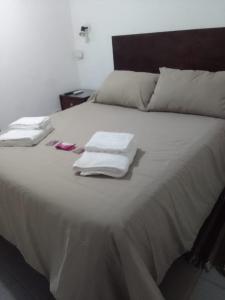 卢汉德库约Mendoza Alquileres D10的一张白色大床,上面有毛巾