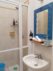 瓦哈卡市El Diablo y la Sandia B&B的带淋浴、盥洗盆和镜子的浴室