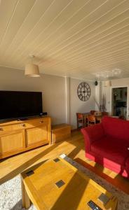 南塞尔尼The Cotswolds Lakeside - Kinsale Lodge,Spring Lake的客厅配有红色沙发和平面电视