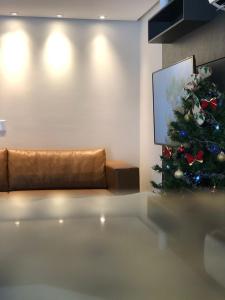 伊达贾伊Hotel Graju Itajaí的客厅配有圣诞树和沙发