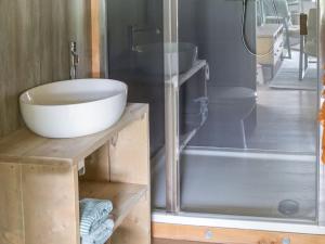 BuurseSpecial tent lodge with dishwasher, in Twente的一间带水槽和淋浴的浴室
