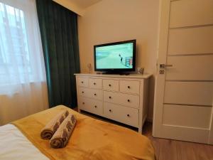 托伦Apartament nr15 z parkingiem podziemnym的卧室配有梳妆台,楼上配有电视