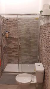 VICTORIA HOSTEL的一间带卫生间和玻璃淋浴间的浴室