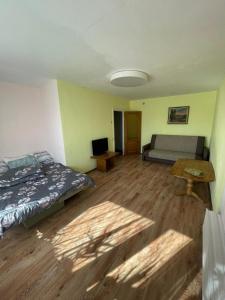 克拉斯拉瓦kvartira的一间卧室配有一张床、一张沙发和一张桌子