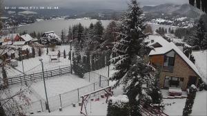 科利比塔VIP Villa & Spa的一座带雪盖的房子,上面有滑雪场和一棵树