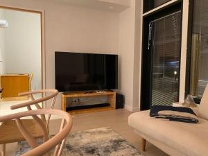 锡尔卡Luxury Ski-in&Out &Private Jacuzzi (Levi Diamonds)的客厅配有平面电视和沙发。
