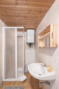 迈尔霍芬Kitzkopf Hütte的浴室配有白色水槽和淋浴。