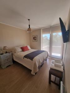 比亚里卡Lindo Departamento en Costanera de Villarrica的一间卧室配有一张床和一台电视。