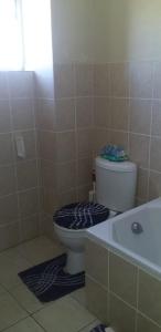 萨尔达尼亚Saldanha BLUEWATER BAY APARTMENT的一间带卫生间和浴缸的浴室