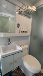 话毛生The Dome @ Gua Musang的浴室配有白色卫生间和盥洗盆。