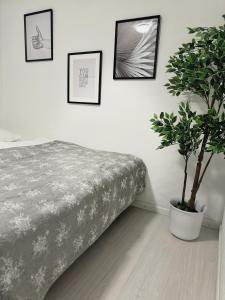 纳克斯考Slava Hygge House的一间卧室配有一张床和盆栽植物