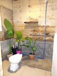 卢纳将军城sharkbunkbed siargao的一间带卫生间和盆栽植物的浴室