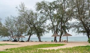 富国Tropical Bay Grand World Phu Quoc的海滩上树木繁茂的海滩