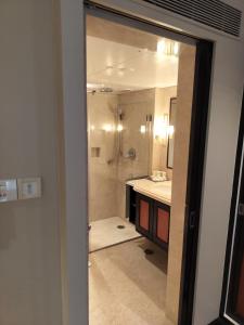 班加罗尔圣马可酒店 的带淋浴、盥洗盆和镜子的浴室