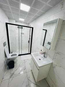 亚洛瓦瑟莱夫酒店的一间带水槽、卫生间和镜子的浴室