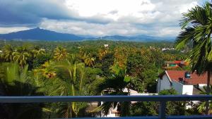 康提Royal Retreat Kandy的享有棕榈树和山脉的城市美景