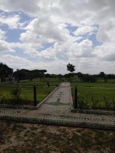 MbuguniShelta Village View Resort的通往云天的田野的道路