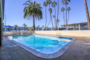 圣地亚哥圣地亚哥机场/哈勃尔6号汽车旅馆的一座棕榈树环绕的大型游泳池