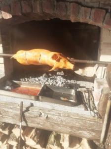 梅尔尼克Хотел Макензен的火鸡在砖炉里做饭