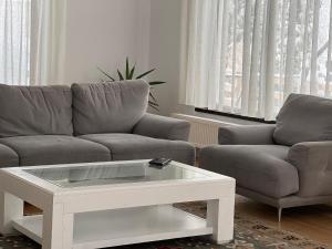 布朗Villa NOVA Cozy and Modern -5 min from center的带沙发和咖啡桌的客厅