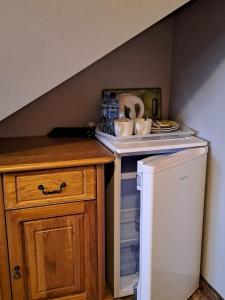 扎科帕内威拉维森卡旅馆的小厨房配有小冰箱和台面