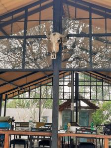 达瓦拉维Elephant Lodge的挂在帐篷天花板上的牛头