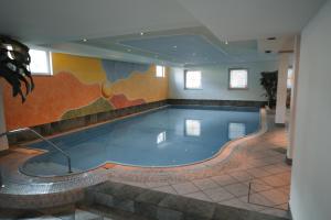 卡斯特尔罗托索奈霍夫酒店的墙上画画的游泳池