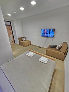 ZemunBooking Apartments Alone 2的带沙发和平面电视的客厅