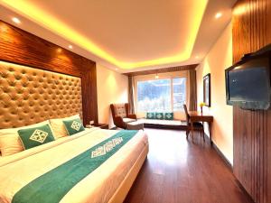 马拉里Snow Valley Resorts & Spa Manali的一间卧室配有一张床和一台平面电视
