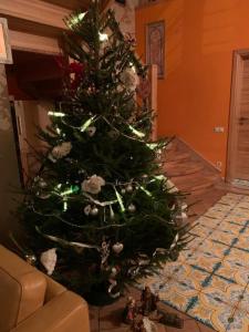 斯伽尔达Bella Vita brīvdienu māja的客厅里的圣诞树