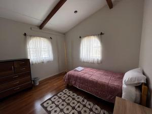 瓦努科Casa San Lorenzo的一间卧室配有一张床、一个梳妆台和两个窗户。