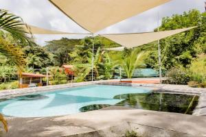 多米尼克Bamboo River House and Hotel的一座树木繁茂的庭院内的游泳池