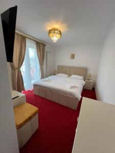 MoineştiPARC PINI RESORT的一间卧室配有一张大床,铺有红地毯