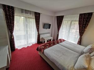 普雷代亚尔Hotel Rudo的一间卧室设有一张大床和窗户。