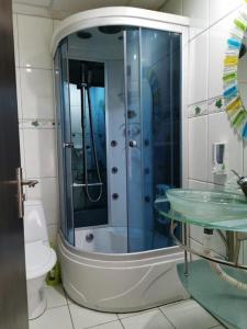 普雷代亚尔Hotel Rudo的带淋浴、盥洗盆和卫生间的浴室