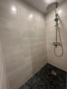 博讷Appartement à Beaune avec Parking的带淋浴喷头的浴室
