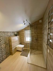 亚布卢尼齐亚Horizon Apartmens的一间带玻璃淋浴和卫生间的浴室