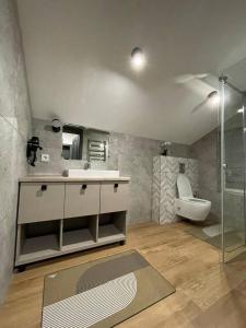 亚布卢尼齐亚Horizon Apartmens的一间带水槽、卫生间和镜子的浴室