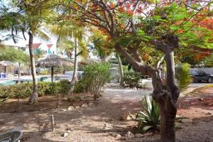 克拉伦代克Caribbean Court E1的游泳池旁公园里的一棵树