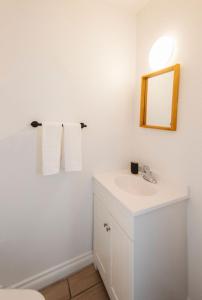 耶洛奈夫Yellowknife Downtown Toboggan Hill Retreat的浴室设有白色水槽和镜子