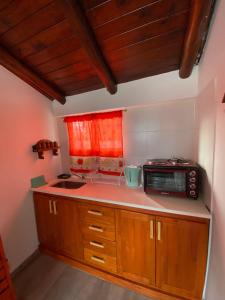 科隆Lo de Lili的带微波炉和柜台的小厨房