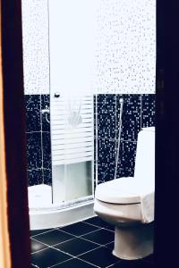 延布Safa PARK HOTEL YANBU فندق صفا بارك ينبع的一间带卫生间和淋浴的浴室