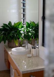 特里格尔眺望美景旅馆的浴室设有水槽和两盆植物