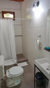 波特雷里约斯El Torreón Lodge的一间带卫生间和水槽的浴室