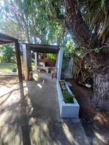 玛尔德科博casa con pileta y parque的庭院里种着树,配有桌椅