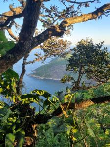 里约热内卢Rio National Park H&C的从树上看到水体