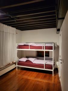 安特卫普Viktoria HOSTEL的铺有木地板的客房内设有两张双层床。