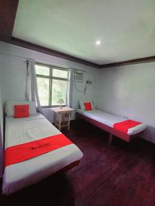 独鲁万San Juanico Travellers Inn - RedDoorz的客房设有两张床和窗户。